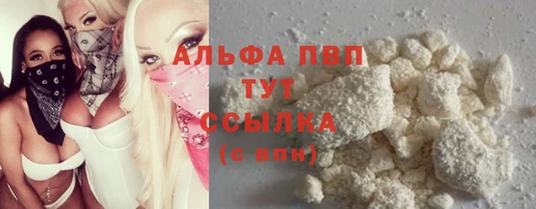 прущие грибы Лабытнанги