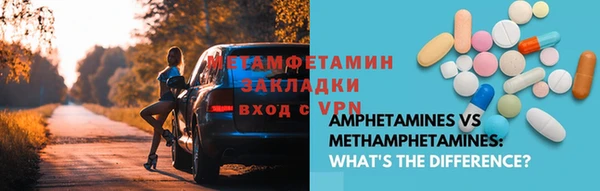 прущие грибы Лабытнанги