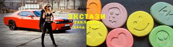 прущие грибы Лабытнанги