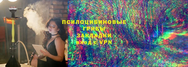 прущие грибы Лабытнанги