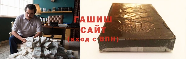 прущие грибы Лабытнанги