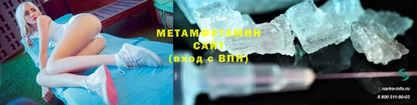 прущие грибы Лабытнанги