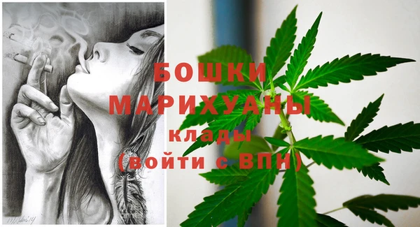 прущие грибы Лабытнанги