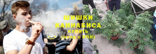 прущие грибы Лабытнанги