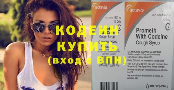 прущие грибы Лабытнанги