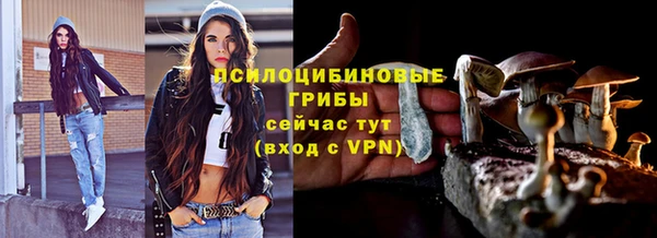 мяу мяу мука Ладушкин