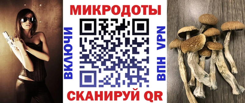 Галлюциногенные грибы мухоморы  Эртиль 